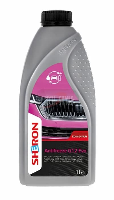 ANTIFREEZE G12 EVO (1L)